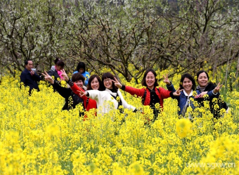 花海吸引無數(shù)游客到來。 張偉 攝.jpg